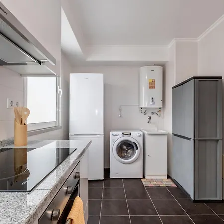 Sunflower By Homie Caniço