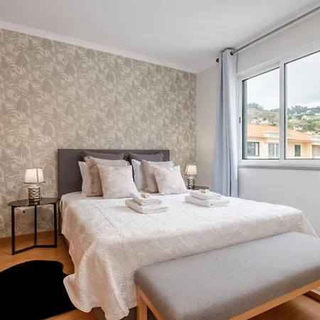 Sunflower By Homie * Caniço