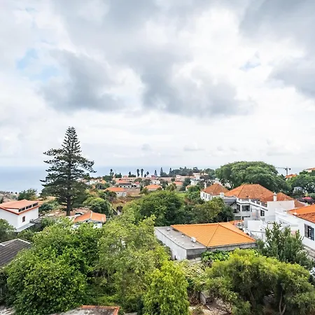 Sunflower By Homie * Caniço