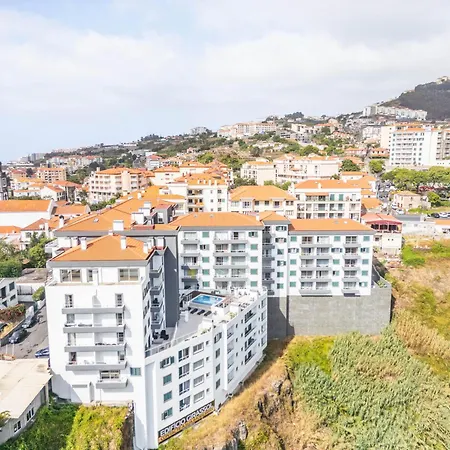 Sunflower By Homie Caniço